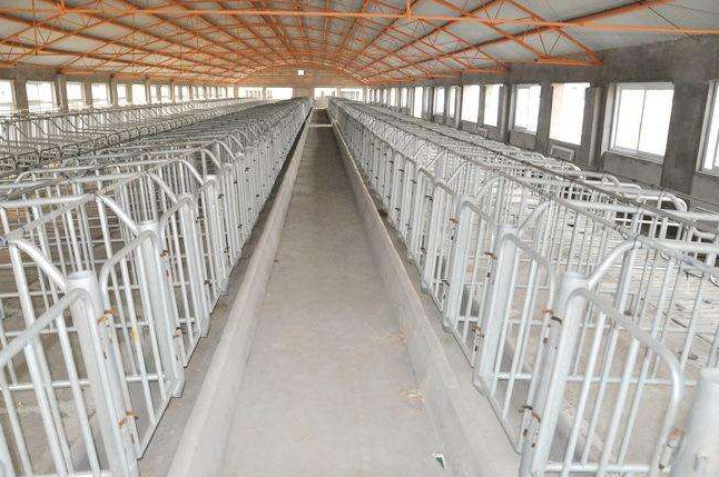 不銹鋼現代養殖場 不銹鋼現代養殖場